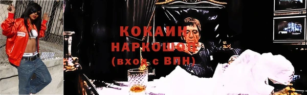 дмт Абаза