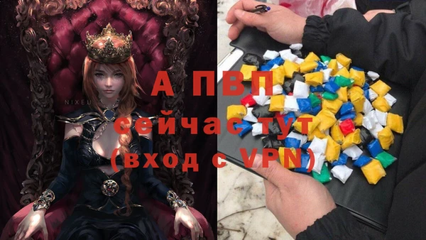 дмт Абаза