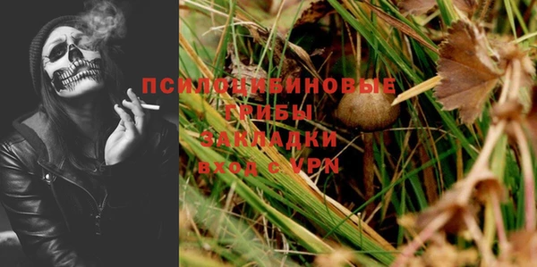 дмт Абаза
